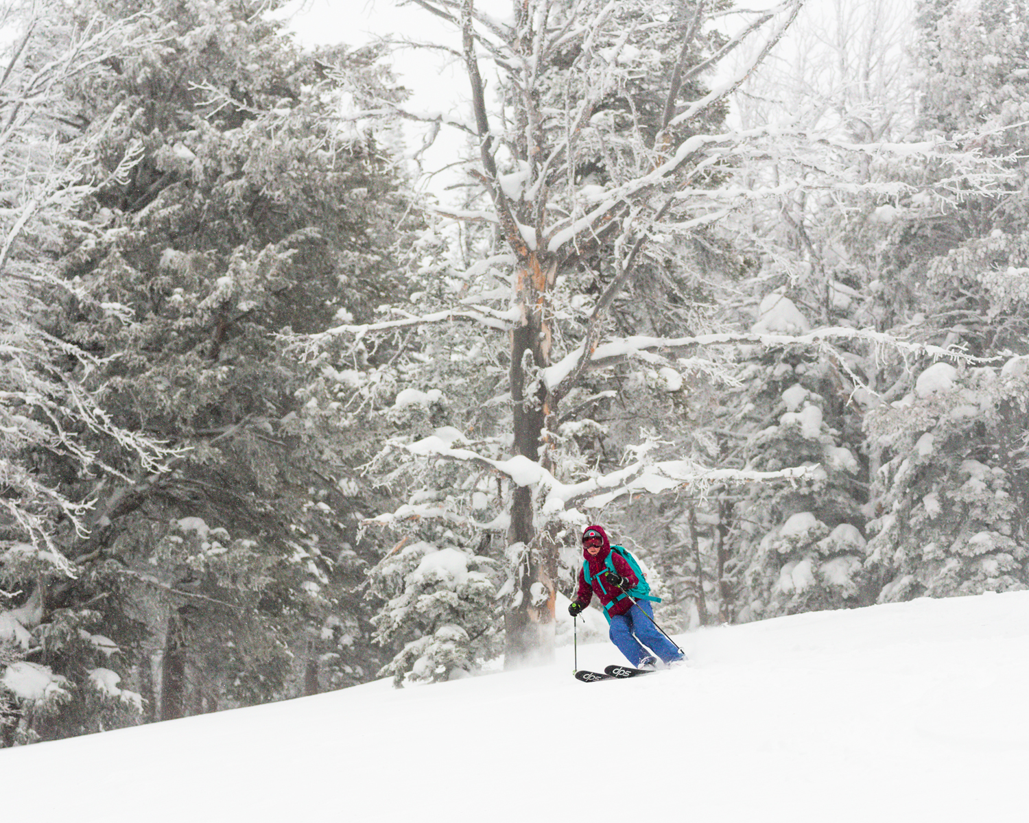 Backcountry Skiing 1-3-20