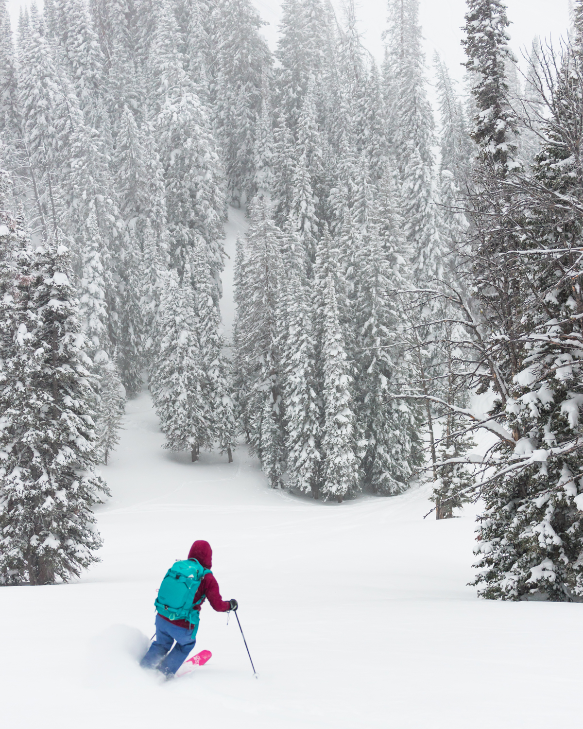 Backcountry Skiing 1-3-20