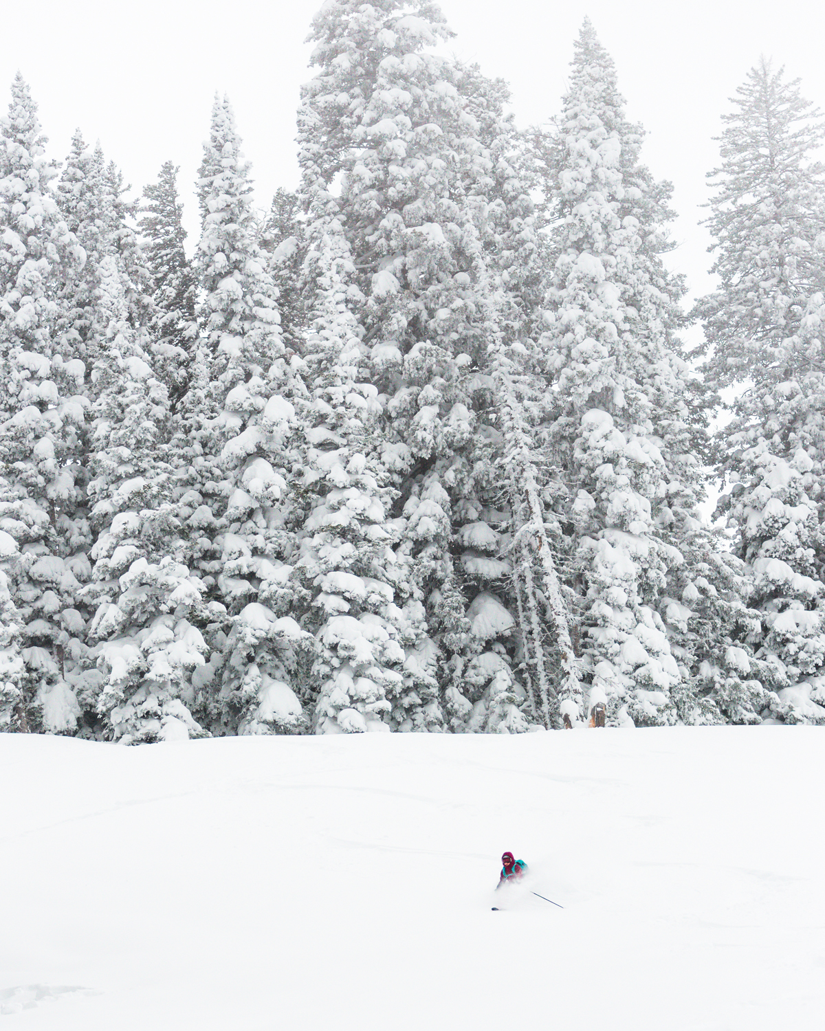 Backcountry Skiing 1-3-20