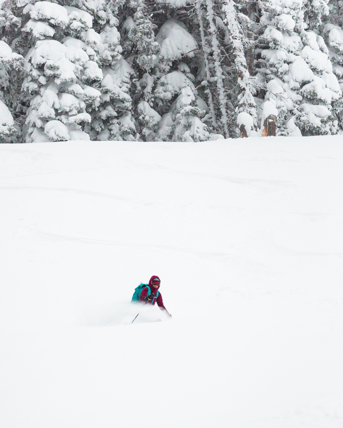 Backcountry Skiing 1-3-20