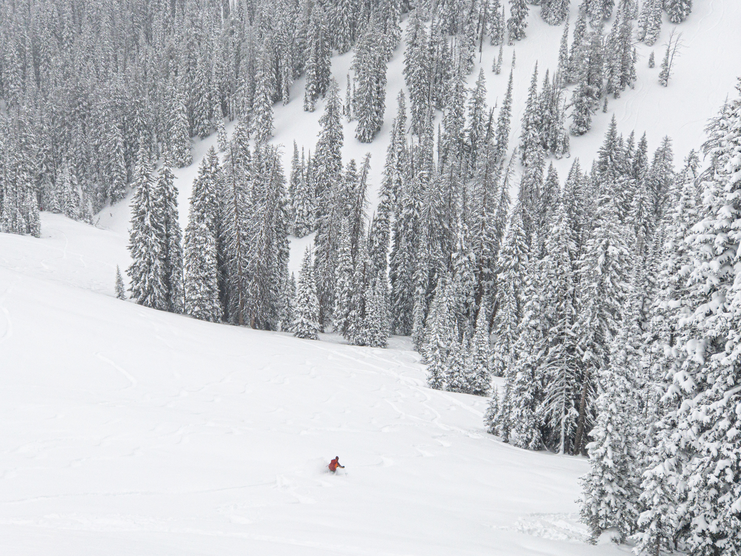 Backcountry Skiing 1-3-20