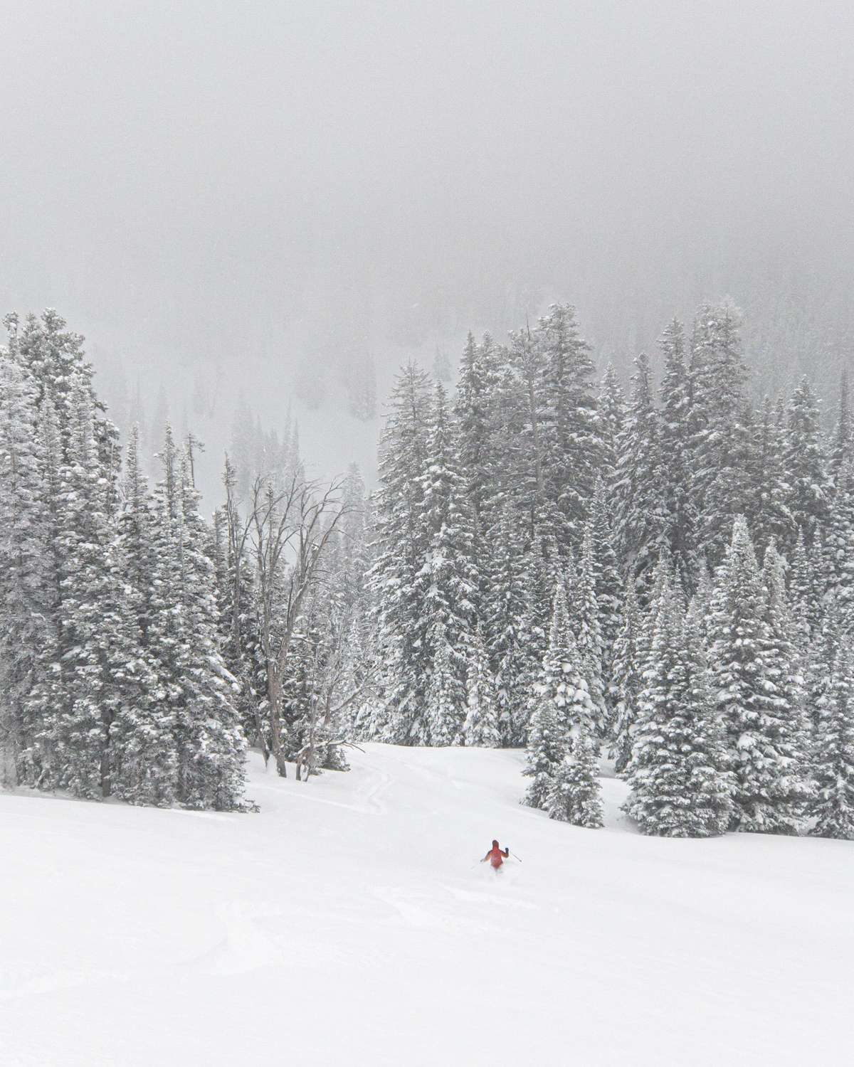 Backcountry Skiing 1-3-20