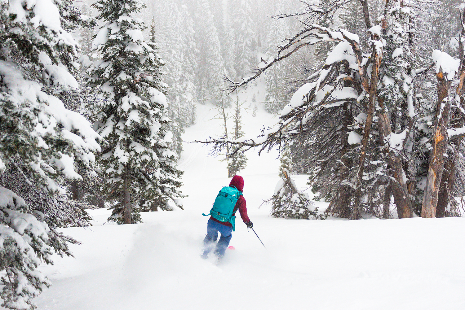 Backcountry Skiing 1-3-20