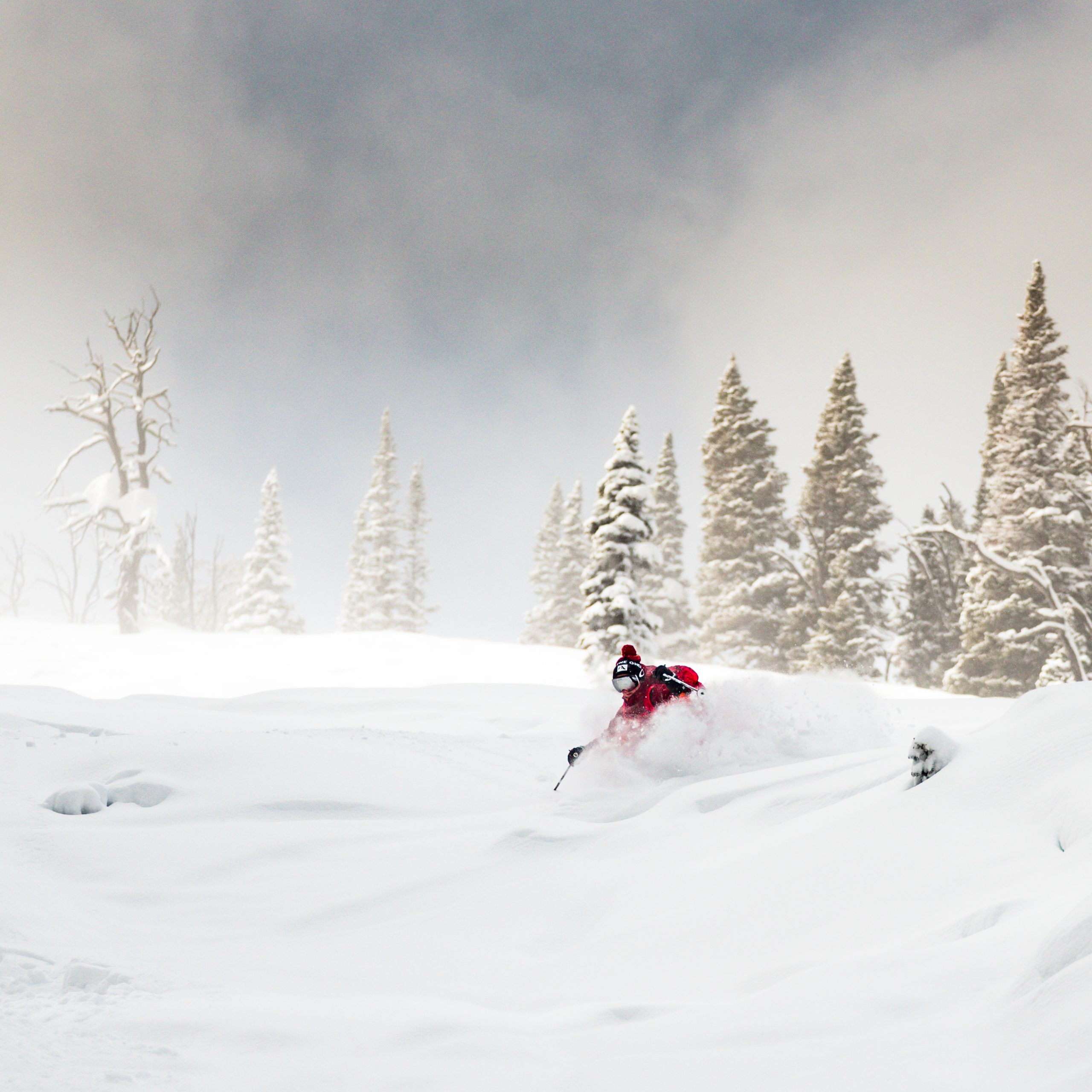 Backcountry Skiing 3-1-20