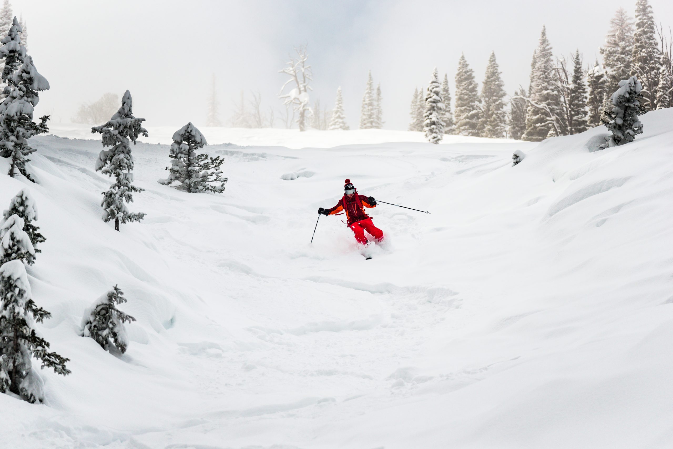 Backcountry Skiing 3-1-20