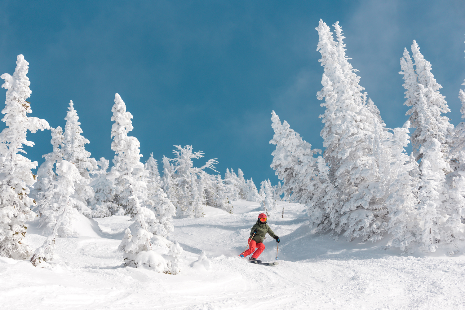 Grand Targhee 2-9-20