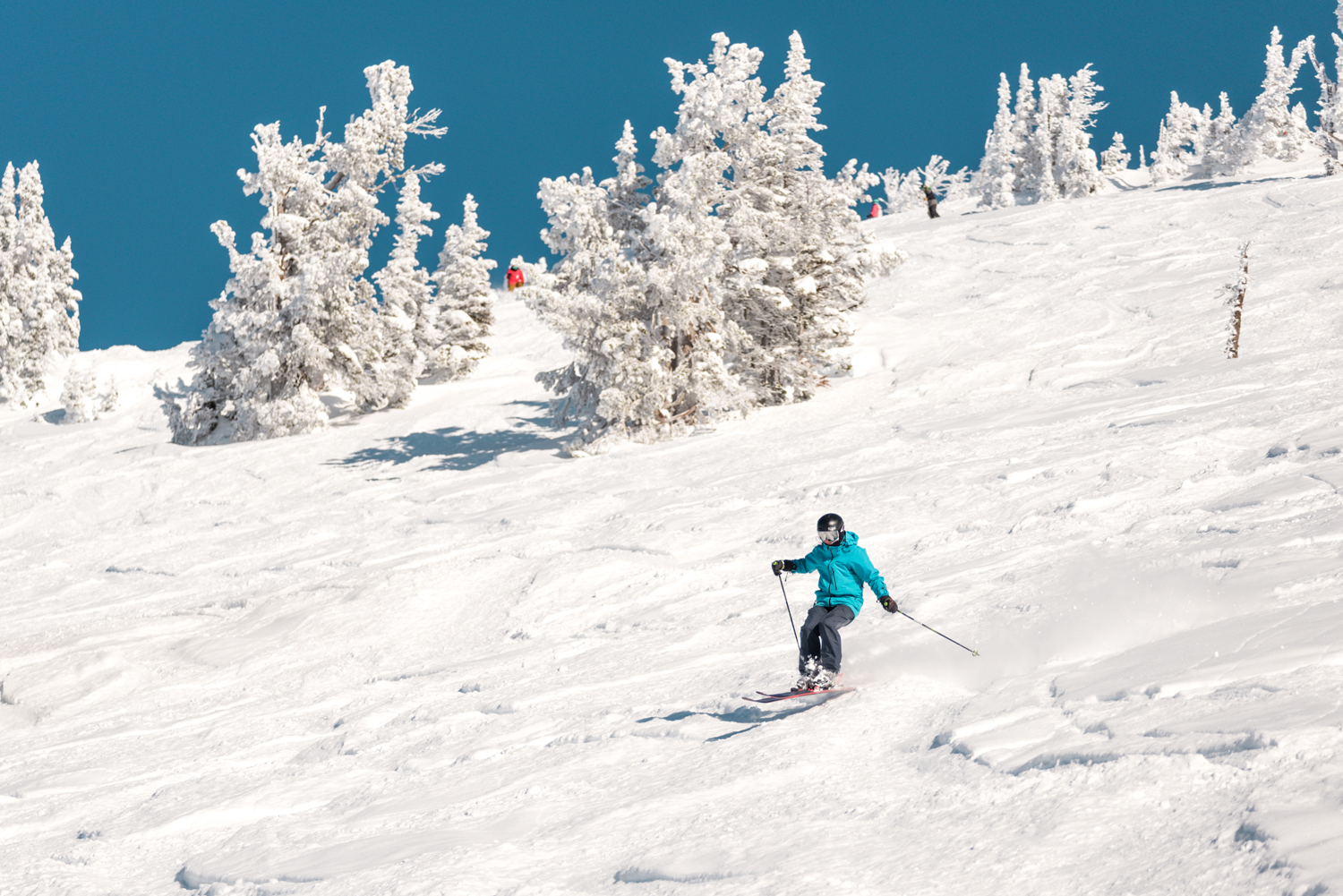 Grand Targhee 2-9-20