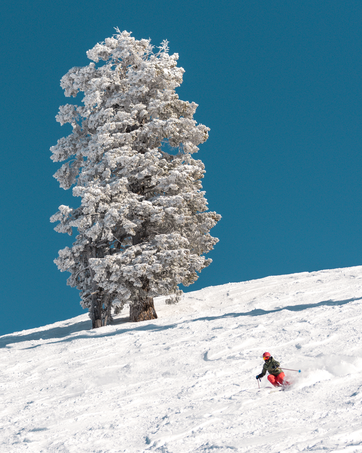 Grand Targhee 2-9-20