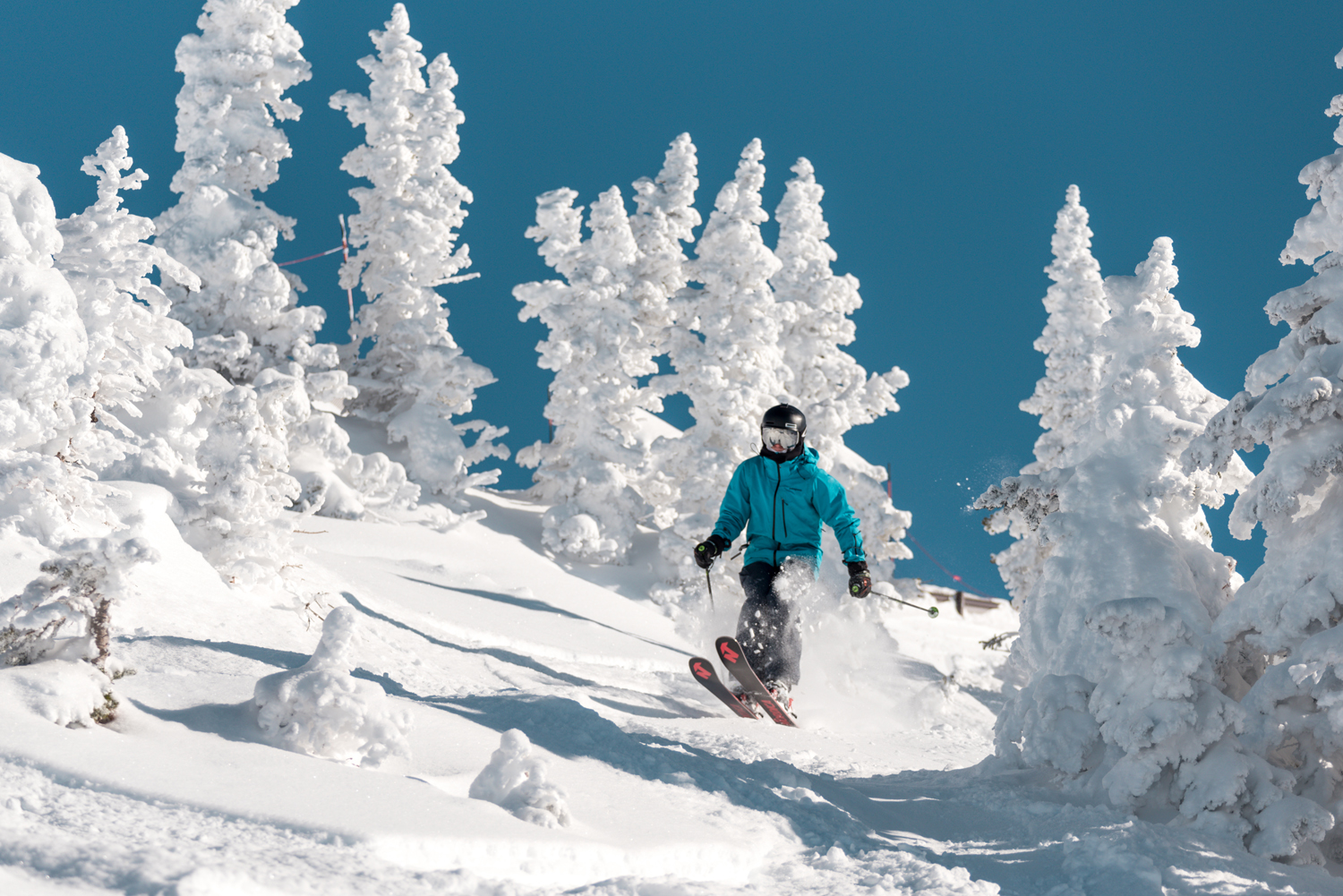 Grand Targhee 2-9-20