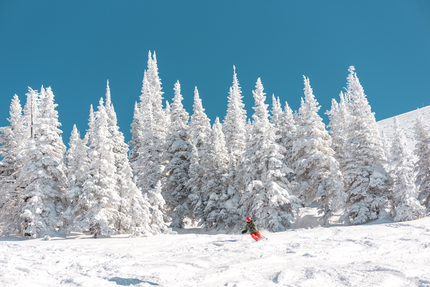 Grand Targhee 2-9-20