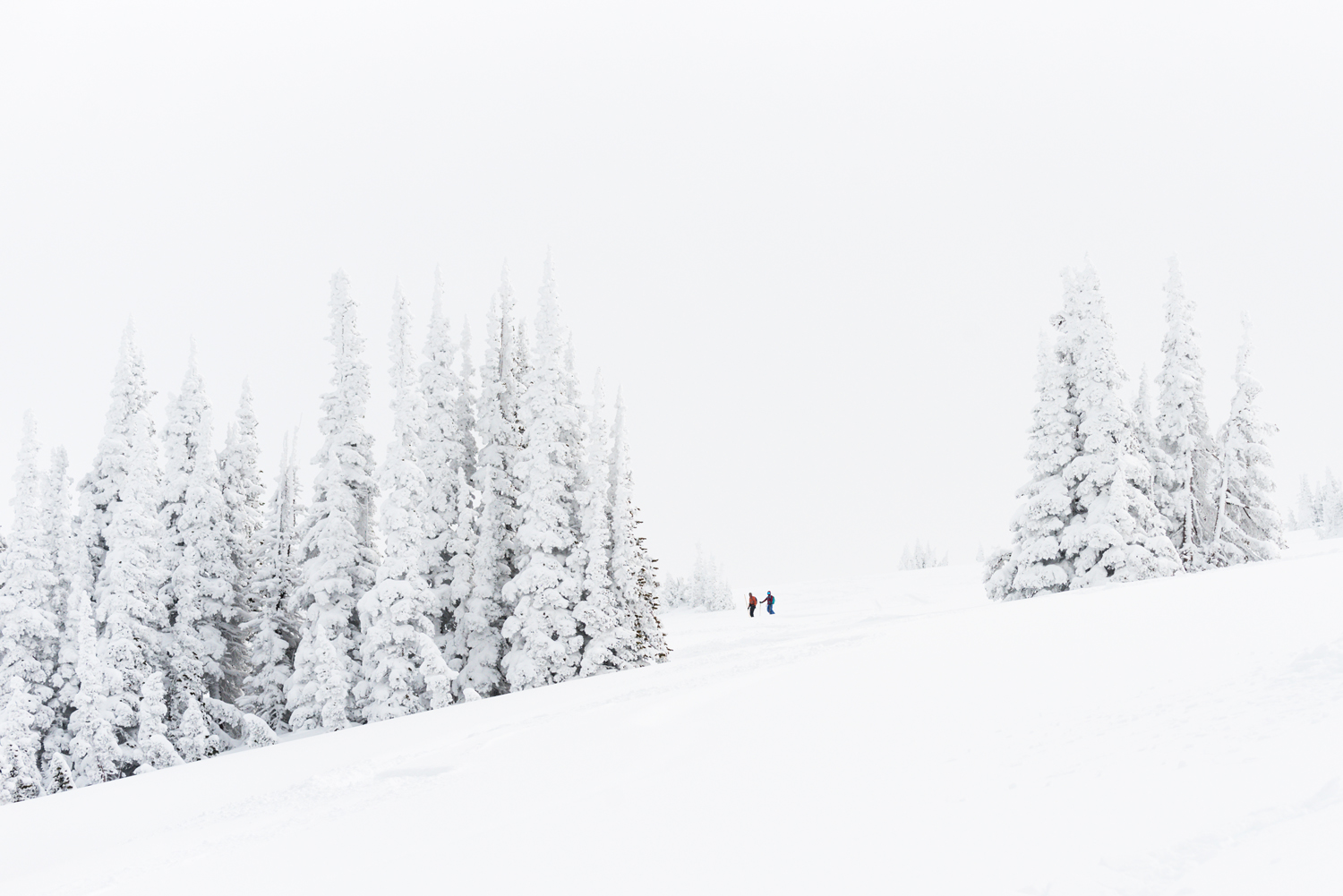 Backcountry Skiiing 4-3-20