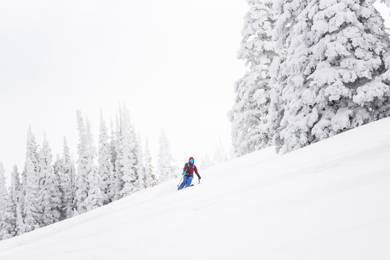 Backcountry Skiiing 4-3-20