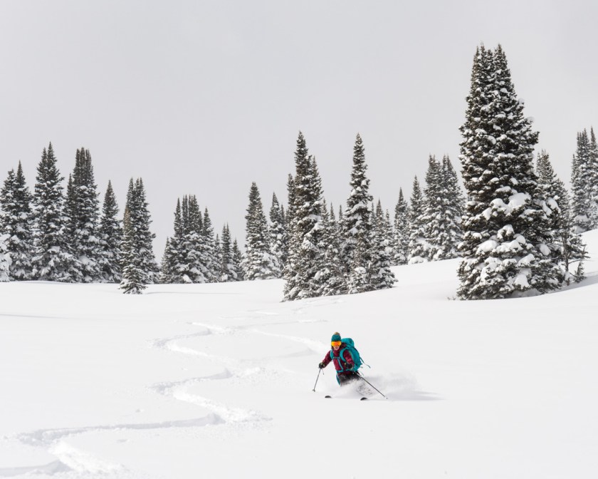 powder skiing