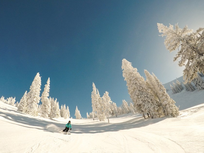 skiing groomers - Chief Joseph's Bowl at Grand Targhee