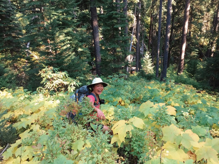 woman bushwhacking through ferns