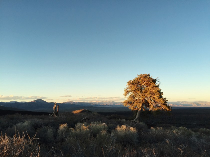 Golden hour in Craters of the Moon