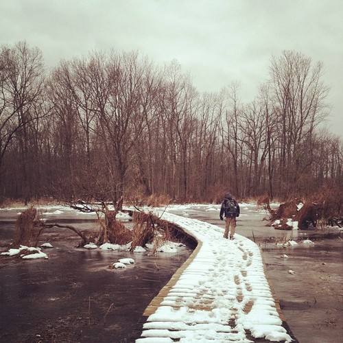  Cheesequake State Park, New Jersey 