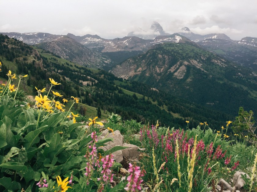 The view from Peaked Peak at Grand Targhee