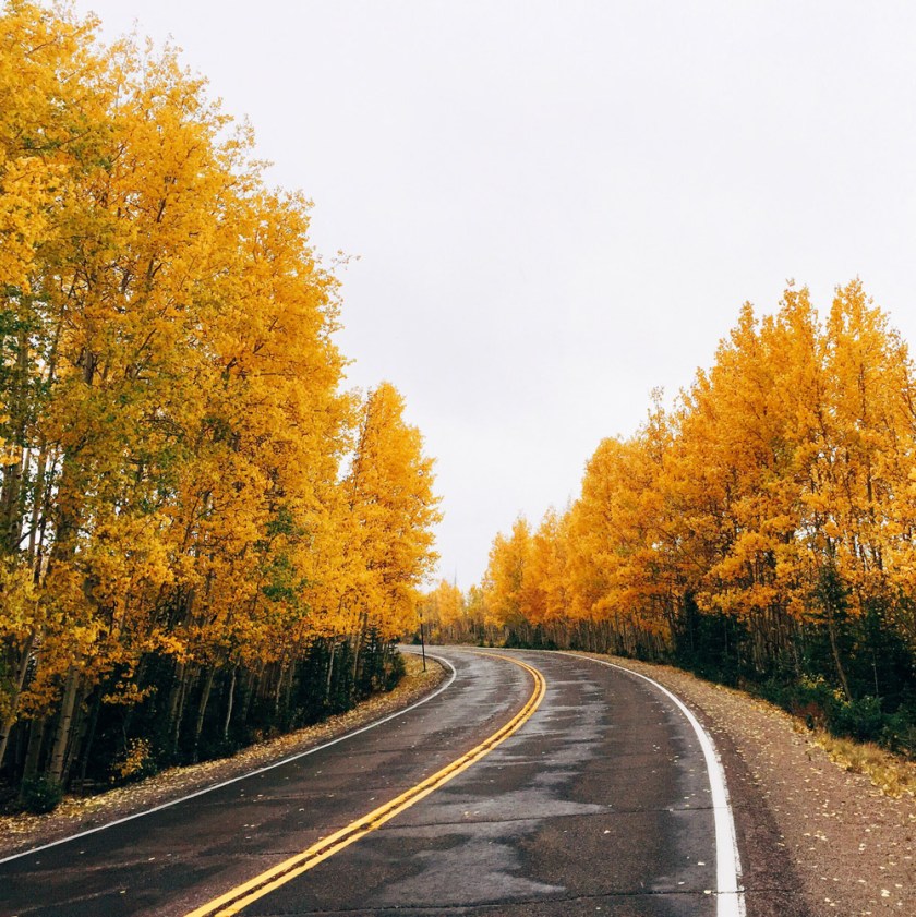 fall colors along the Silver Thread Scenic Byway