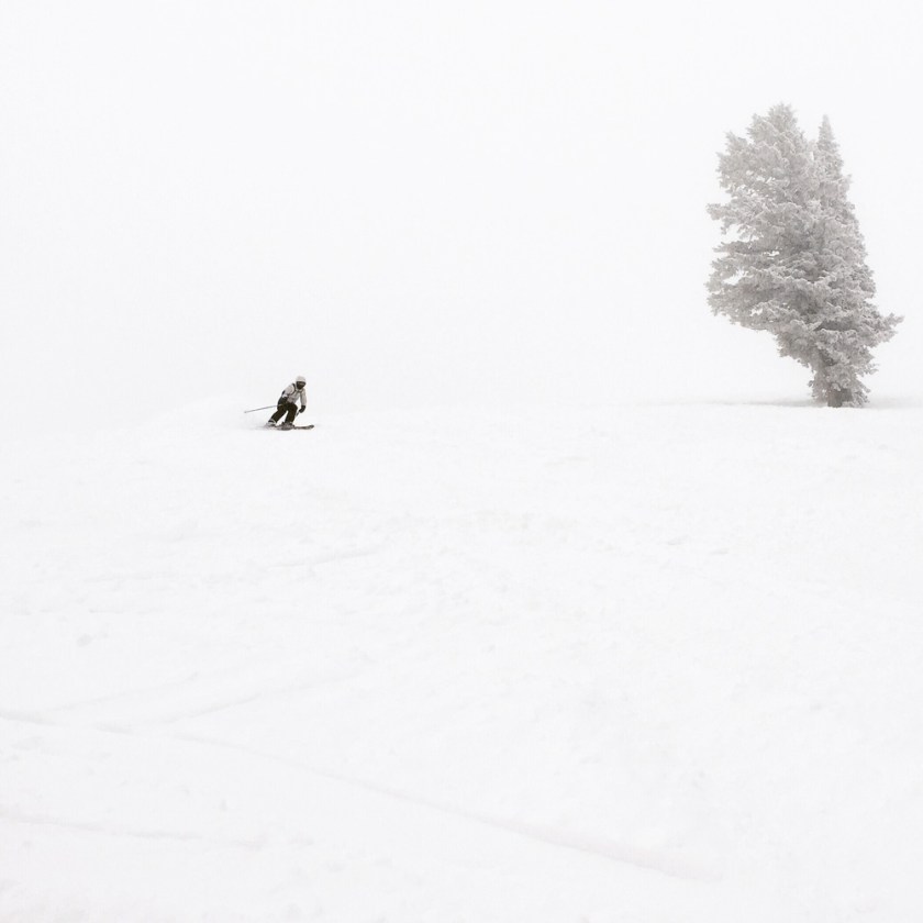 skiing Wild Turkey at Grand Targhee