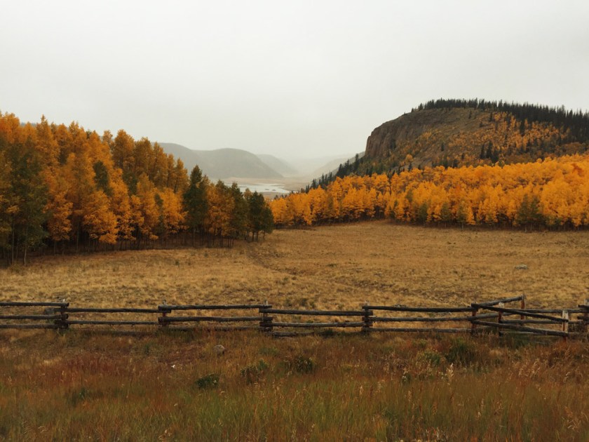 fall colors in the Weminuche Wilderness