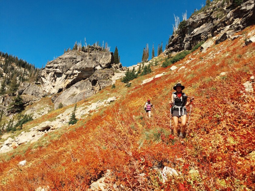 Backpacking the Selway-Bitterroot Wilderness at the Wild Sage Summit