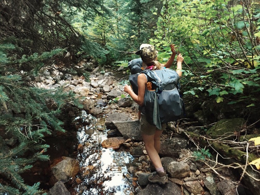 Bushwhacking through a wilderness creek