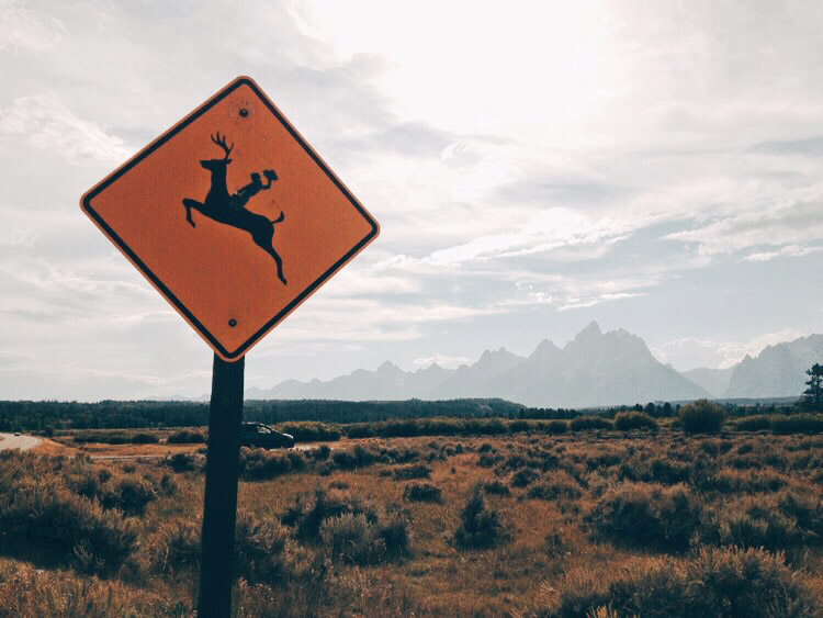 deer crossing sign with Wyoming cowboy